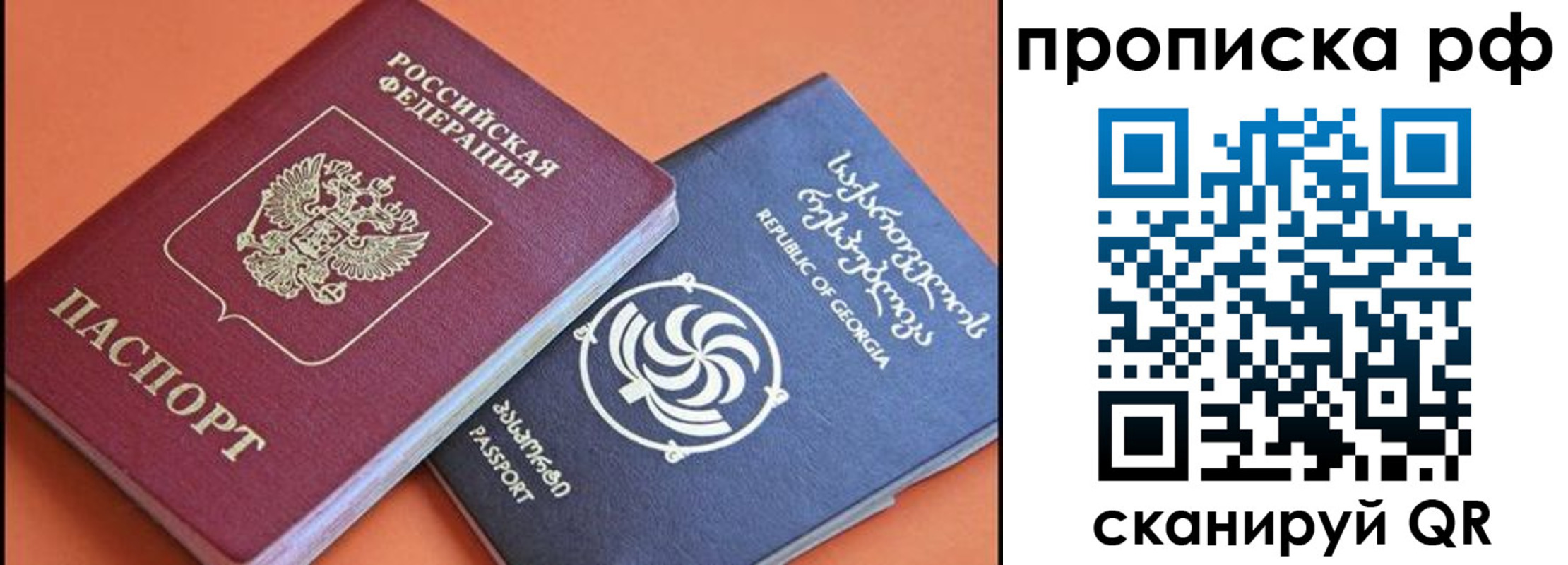 прописка поиск в Смоленской области